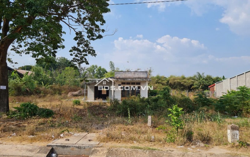 Bán đất tặng nhà cấp 4 tại mặt tiền đường ĐT 821, xã Lộc Giang, huyện Đức Hòa, tỉnh Long An.  ( nay là xã An Ninh, tỉnh Tây Ninh)