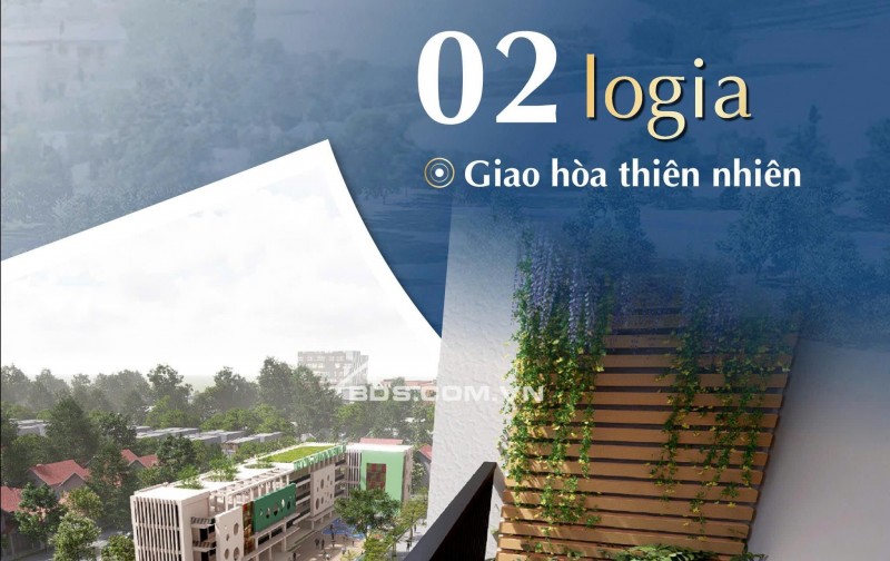 Bán và cho thuê căn hộ chung cư Bình An plaza nằm ngày khối Bệnh viện