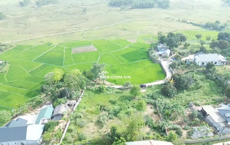 CẮT LỖ! CHỈ 4.15 TỶ, 1.200M2 ĐẤT ( Ont + Cln) view cánh đồng tuyệt đẹp tại trung tâm lương sơn, cách đường liên xã 50m.