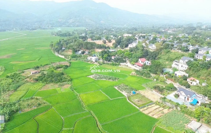 CẮT LỖ! CHỈ 4.15 TỶ, 1.200M2 ĐẤT ( Ont + Cln) view cánh đồng tuyệt đẹp tại trung tâm lương sơn, cách đường liên xã 50m.