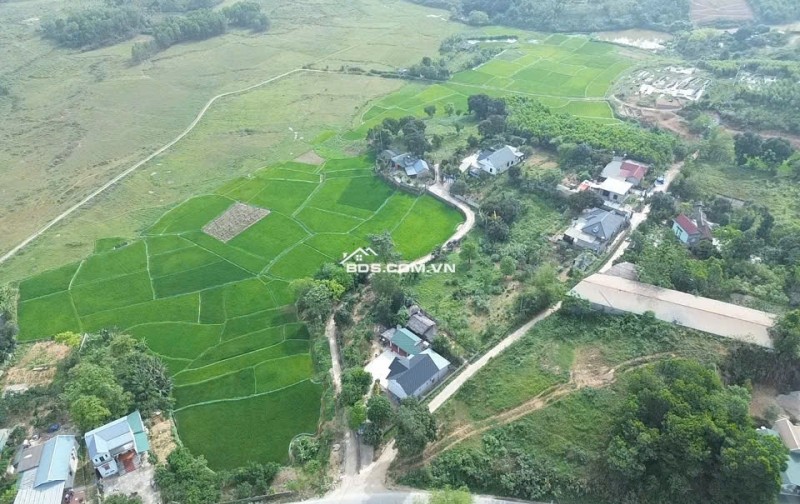 CẮT LỖ! CHỈ 4.15 TỶ, 1.200M2 ĐẤT ( Ont + Cln) view cánh đồng tuyệt đẹp tại trung tâm lương sơn, cách đường liên xã 50m.