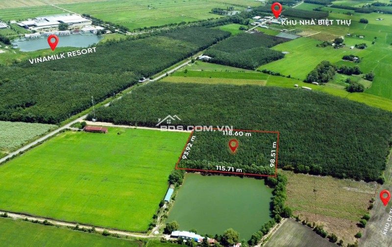 ĐẤT BẾN CẦU TÂY NINH 11.282M2 CHỈ 3TY5, VỊ TRÍ ĐẸP, SỔ TRAO TAY. CHÍNH CHỦ 0988882003.