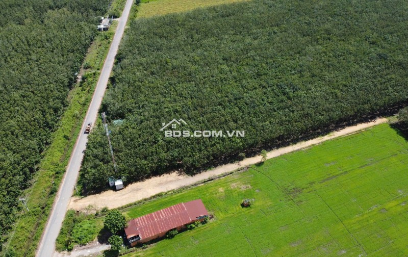 ĐẤT BẾN CẦU TÂY NINH 11.282M2 CHỈ 3TY5, VỊ TRÍ ĐẸP, SỔ TRAO TAY. CHÍNH CHỦ 0988882003.