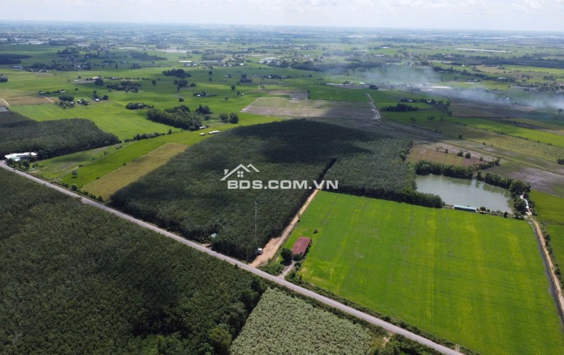 ĐẤT BẾN CẦU TÂY NINH 11.282M2 CHỈ 3TY5, VỊ TRÍ ĐẸP, SỔ TRAO TAY. CHÍNH CHỦ 0988882003.