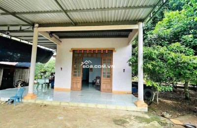 Cần bán đất vườn trái cây sẵn nhà cấp 4 ở Bình Dương, rộng 2500m2, thổ cư, giá rẻ 680tr