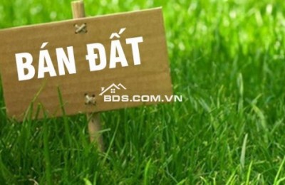 BÁN ĐẤT ĐỐI DIỆN TRƯỜNG MẦM NON MÀ AI CŨNG NHÌN NGÓ, LÝ DO LÀ GÌ?