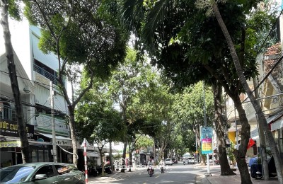 CHO THUÊ MẶT BẰNG – ĐƯỜNG HOÀNG VĂN THỤ – P7 – TPVT 