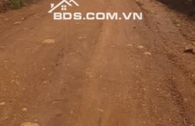 093303276 1.8 ha, tại quảng hiệp, cumgar, đường 6m, mặt tiền trước đất dài 200m, đường quy hoạch 8M 100tr/sào