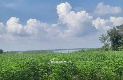 Bán đất xã Minh Hòa view Hồ Dầu Tiếng Bình Dương giá 47 tỷ