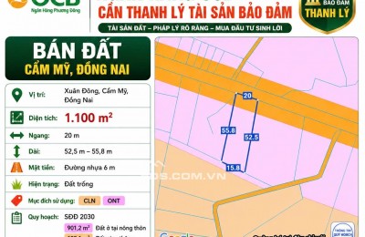 Ngân hàng cần thanh lý tài sản mặt tiền cẩm mỹ mặt tiền đường nhựa