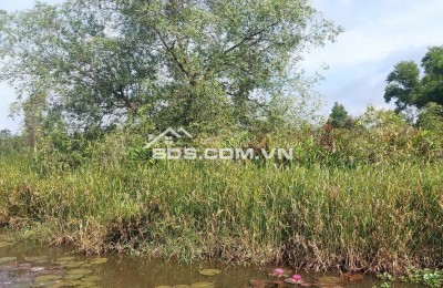 Rẻ Như Cho 3tr/m2.  Bán. Đất CLN TP.Thủ Đức ( Q.9 cũ )