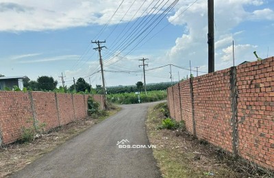 Thông Báo Bán đấu giá BĐS ngân hàng thanh lý; số tờ17 Thửa đất 67, địa chỉ; Bàu Hàm, Trảng Bom Đồng Nai.