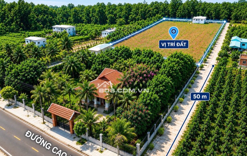 Bán Gấp đất mặt tiền đường nhựa rộng 32m2 Cao Bá Quát Chơn Thành dt 200m2 Sổ sẵn giá 850Triệu