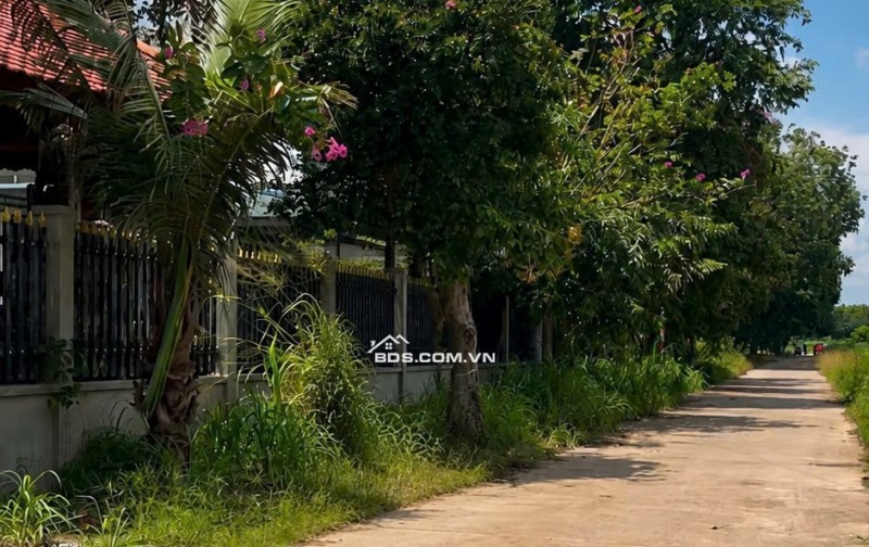 Bán Gấp đất mặt tiền đường nhựa rộng 32m2 Cao Bá Quát Chơn Thành dt 200m2 Sổ sẵn giá 850Triệu