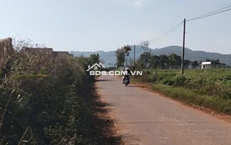 Chính chủ bán 13.000m² đất Tu Tra – Đơn Dương, vị trí đẹp, 2 mặt đường bê tông