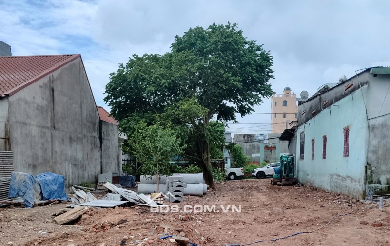 Đất nền dự án Nhơn Trạch – Đồng Nai chính thức mở bán ngày đầu tiên
