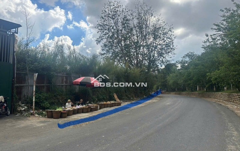 Bán nhanh lô đất MT đường Vòng Lâm Viên phường Lâm Viên .