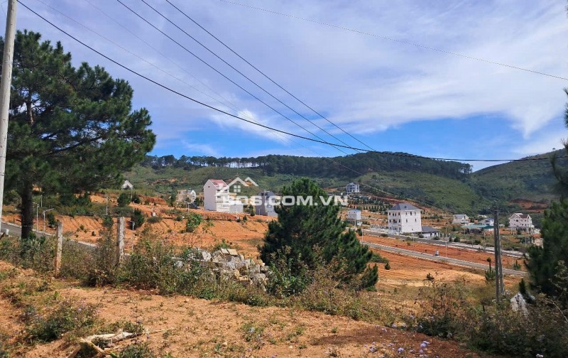 Bán Đất Lớn Lang biang 53,000 m2
