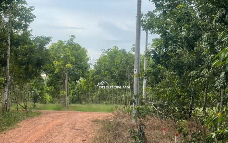 Đất thổ cư sổ hồng riêng ngay TT chơn Thành giá chỉ 380 triệu.