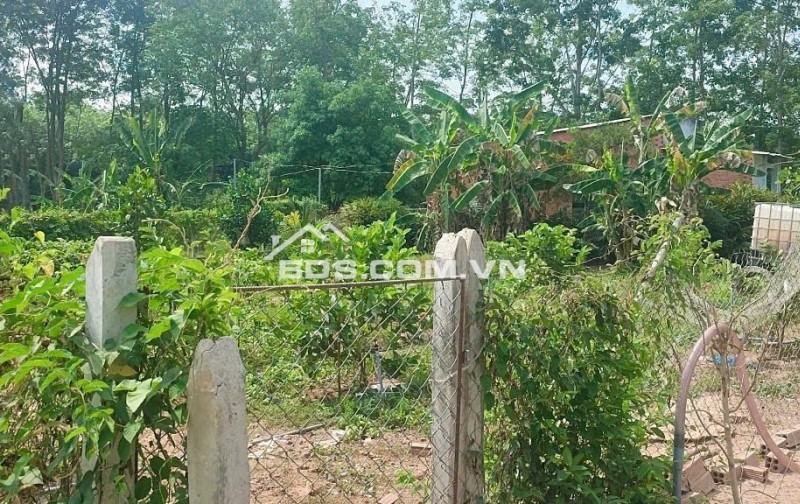 Cần bán gấp lô đất 508m² có thổ cư tại xã Trừ Văn Thố, Bàu Bàng, Bình Dương Giá 680 triệu