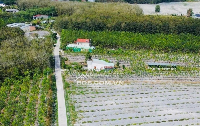 Bán đất tại Số 8, Minh Hưng, Chơn Thành, Bình Phước, 450 triệu, 215 m2, giá siêu hời