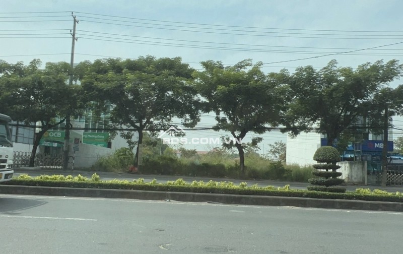Cho thuê đất hoặc nhà diện tích 10*38m mặt tiền QL51 phường Phú Mỹ tp HCM