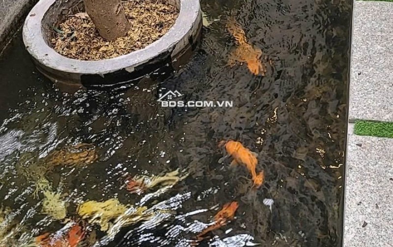 Bán nhà đẹp 3 lầu view ngắm máy bay hẻm 83 Phạm Văn Bạch 115m2 ngang 5m sát Metro 12 tỷ.