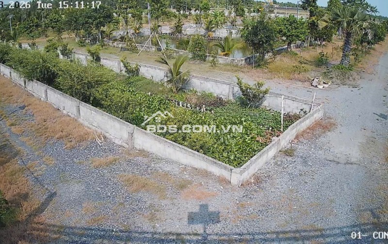 Bán Nhà Vườn 12.000m2, Giá 29.5 Tỷ, Kênh 12, Xã Lê Minh Xuân Bình Chánh