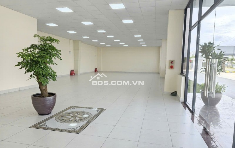 Bán nhà xưởng mới tại KCN Thuận Thành II, Bắc Ninh