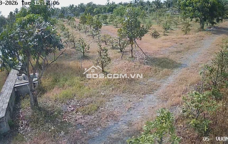 Bán Nhà Vườn 12.000m2, Giá 29.5 Tỷ, Kênh 12, Xã Lê Minh Xuân Bình Chánh