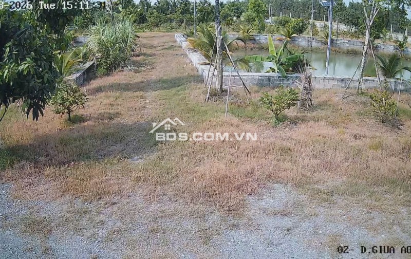 Bán Nhà Vườn 12.000m2, Giá 29.5 Tỷ, Kênh 12, Xã Lê Minh Xuân Bình Chánh