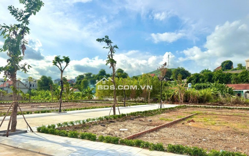 CHỈ NHỈNH 2 TỶ LÀM HÀNG XÓM VỚI VIN HẠ LONG XANH, 4 PHÚT DI CHUYỂN ĐẾN GA TOD