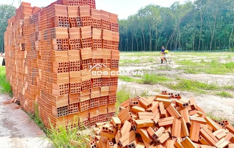 Đất thổ cư xây trọ, 10x55 liền kề KCN Minh Hưng , SHR