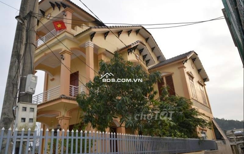 Sở Hữu Trọn Vẹn 32m Mặt Tiền: Tâm Điểm Giáo Dục & Thương Mại Vùng