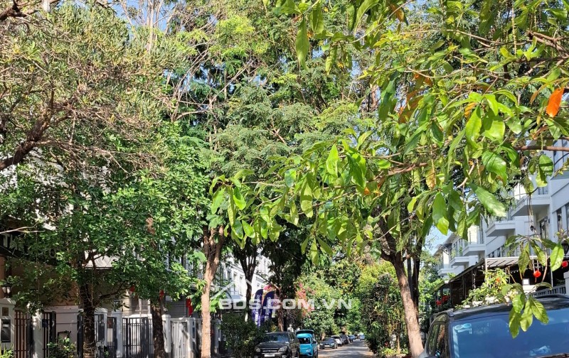 Bán nhà đường 5 phường An Phú Tp Thủ Đức giá 23 tỷ