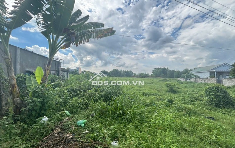 Hơn 1mẫu8 có 300m thổ cư đất Bà Rịa đường nhựa số 14 Ngộp ha gia bán nhanh chỉ còn 46 tỷ