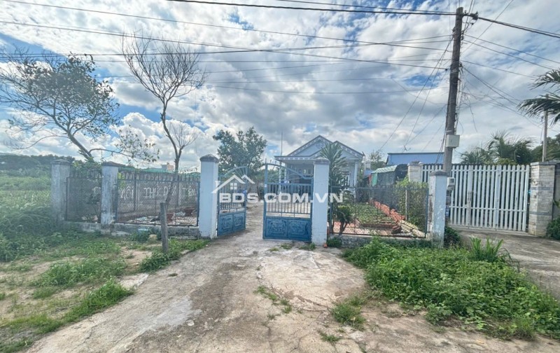 Hơn 1mẫu8 có 300m thổ cư đất Bà Rịa đường nhựa số 14 Ngộp ha gia bán nhanh chỉ còn 46 tỷ