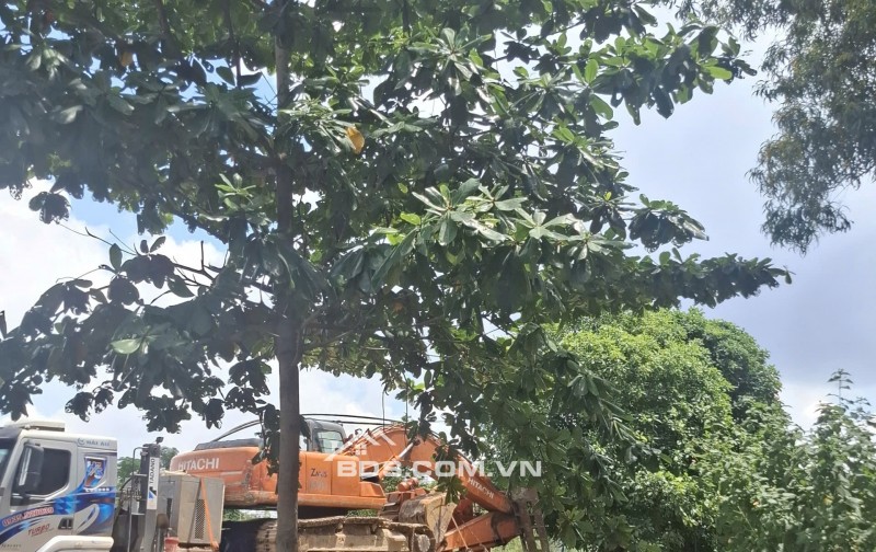 Bán đất mặt tiền Đồng Văn Cống Thạnh Mỹ Lợi Tp Thủ Đức giá 46 tỷ