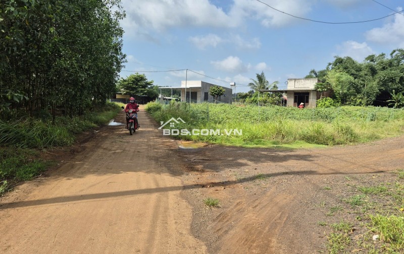 NGÂN HÀNG THANH LÝ TÀI SẢN NGAY SÂN BAY LONG THÀNH GIẢM MẠNH