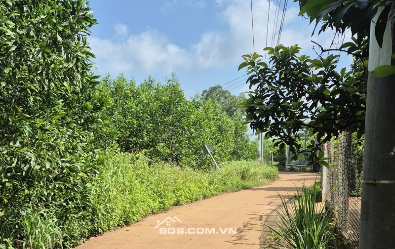NGÂN HÀNG THANH LÝ TÀI SẢN NGAY SÂN BAY LONG THÀNH GIẢM MẠNH