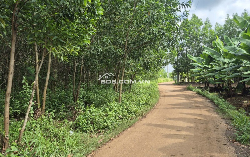 NGÂN HÀNG THANH LÝ TÀI SẢN NGAY SÂN BAY LONG THÀNH GIẢM MẠNH