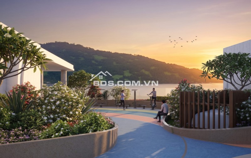 Căn hộ studio ven biển The Camellia chỉ 2,247 tỷ, chiết khấu lên đến 16%, hỗ trợ lãi suất lên đến 70% miễn lãi miễn gốc trong vòng 18 tháng