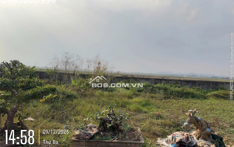 Bán đất tại An Cư, Định Hoá, Ninh Bình, giá 4,2 tỷ, 137,5 m2