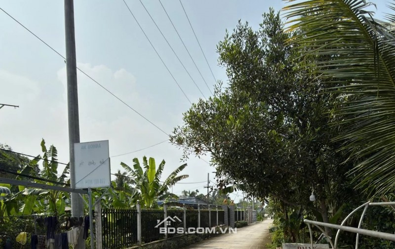 Bán đất 27.000m² lộ bê tông 4m gần QL61C, Xã Nhơn Ái, Phong Điền, Cần Thơ - 121,5 tỷ
