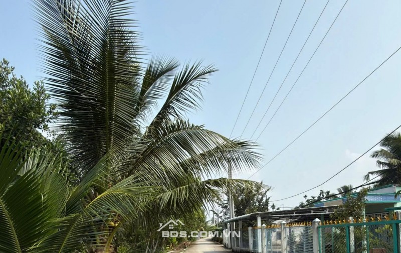 Bán đất 27.000m² lộ bê tông 4m gần QL61C, Xã Nhơn Ái, Phong Điền, Cần Thơ - 121,5 tỷ