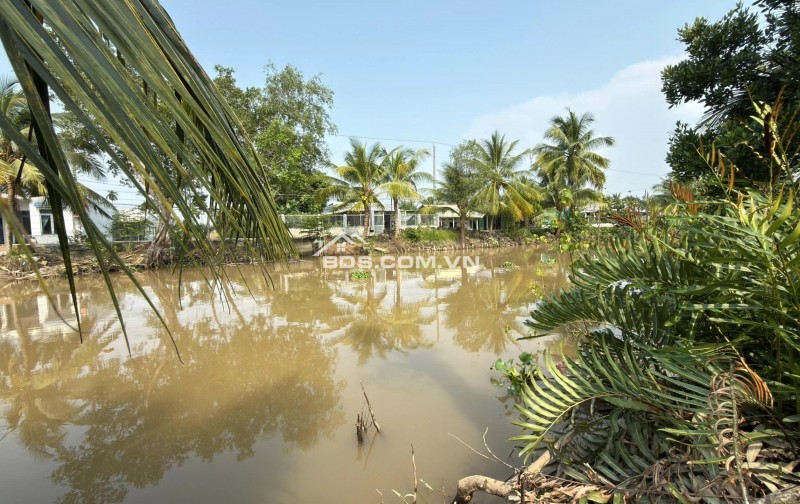 Bán đất 27.000m² lộ bê tông 4m gần QL61C, Xã Nhơn Ái, Phong Điền, Cần Thơ - 121,5 tỷ