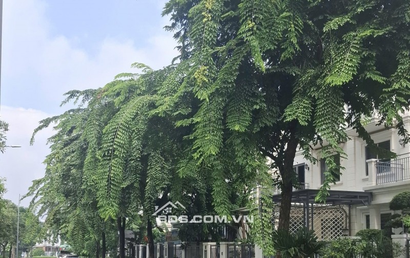 Bán nhà view mặt tiền Sông phường An Phú Tp Thủ Đức giá 45 tỷ