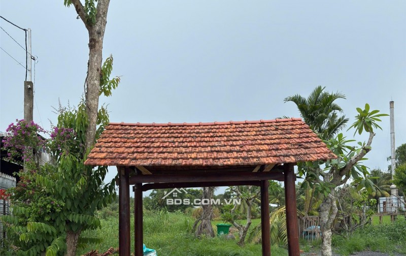Bán 3.830m² Đất Mặt Tiền Trương Văn Diễn, Ô Môn – Cạnh Xi Măng Tây Đô, Chỉ 17 Tỷ