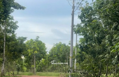 Đất thổ cư sổ hồng riêng ngay TT chơn Thành giá chỉ 380 triệu.