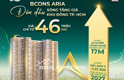 BCON ARIA – Cơ Hội Sở Hữu Nhà Giữa Đà Phát Triển Của Khu Đông